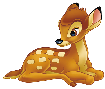 Bambi party oslava narodenin