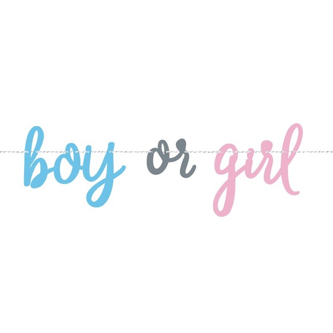 Levně Banner Gender Reveal Boy or Girl 213cm