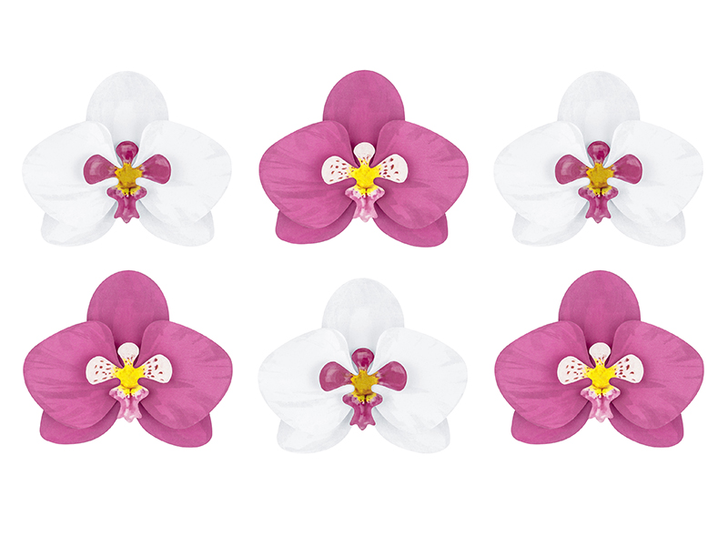 Papírové dekorace Květy orchideje 6ks