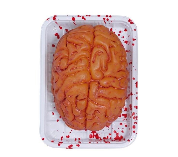 Levně Replika Mozek krvavý 20cm