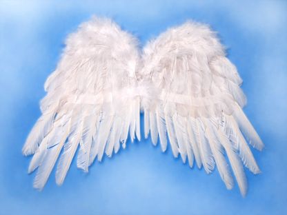 Andělské křídla 53x37cm
