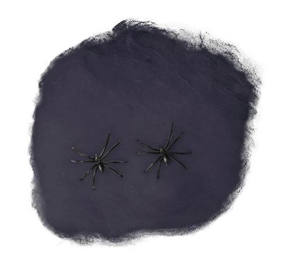 Černá pavučina se 2 pavouky 60g