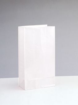 Papírové sáčky bílá 25cm 12ks
