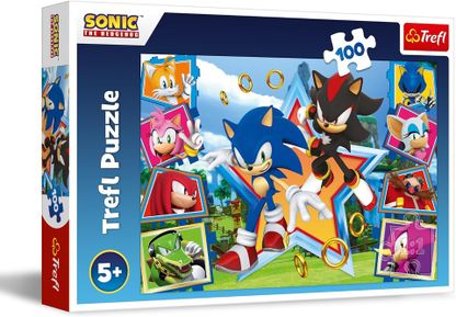 Puzzle Sonic 100 dílků