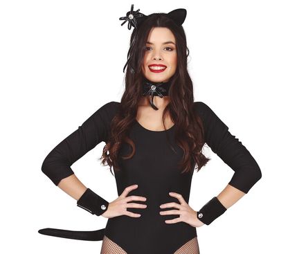 Sada doplňků ke kostýmu Sexy Kočka 5ks